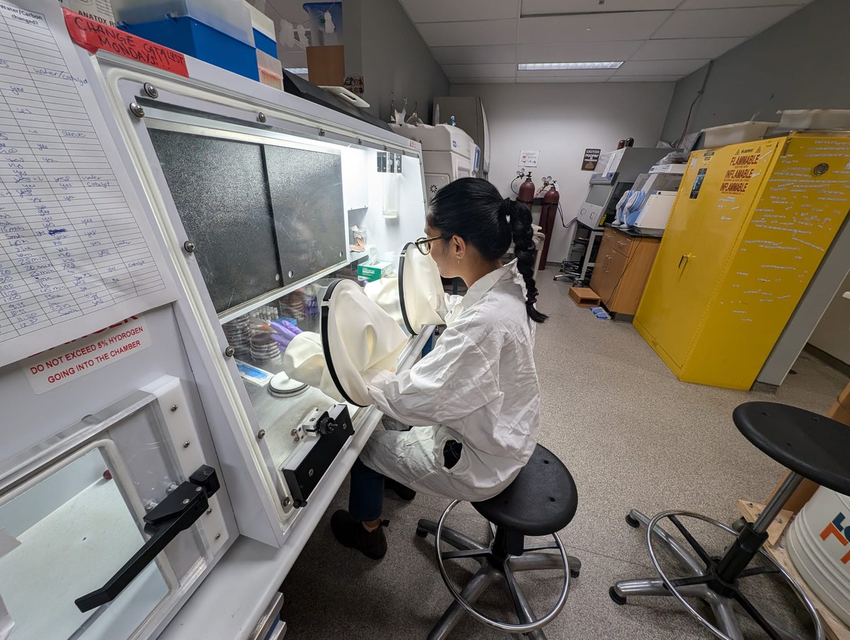 The Yanomami Foundation (@yanomamiaction) on Twitter photo Meet Panuya Athithan, a PhD student in Dr. Allen-Vercoe's lab <a href="/uofg/">University of Guelph</a> , studying resilient microbes found in both industrialized and #Yanomami gut microbiotas. Her research explores how these bacteria thrive across diverse lifestyles and their impact on health and well-being. Meet Panuya Athithan, a PhD student in Dr. Allen-Vercoe's lab <a href="/uofg/">University of Guelph</a> , studying resilient microbes found in both industrialized and #Yanomami gut microbiotas. Her research explores how these bacteria thrive across diverse lifestyles and their impact on health and well-being.
