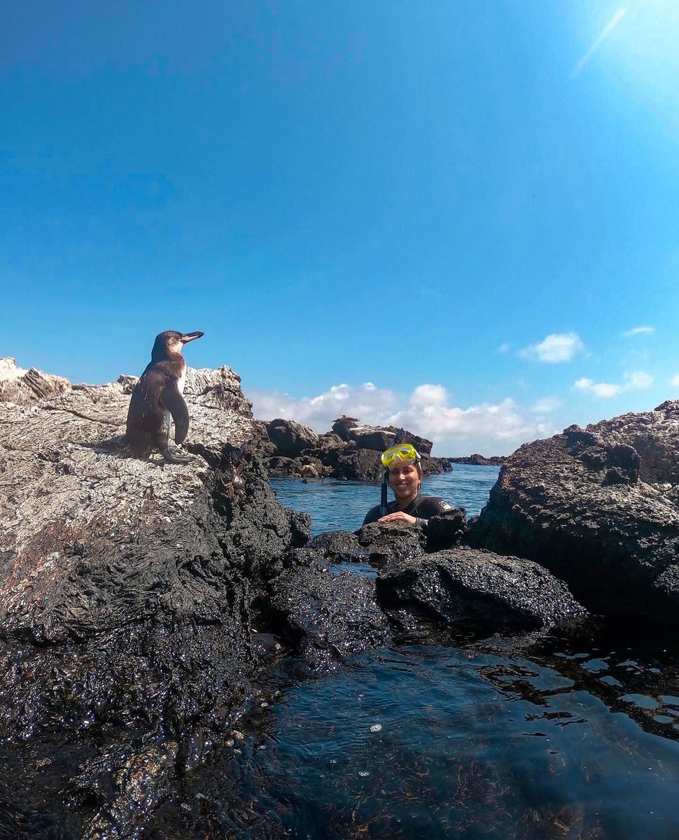 Projects Abroad tweet media