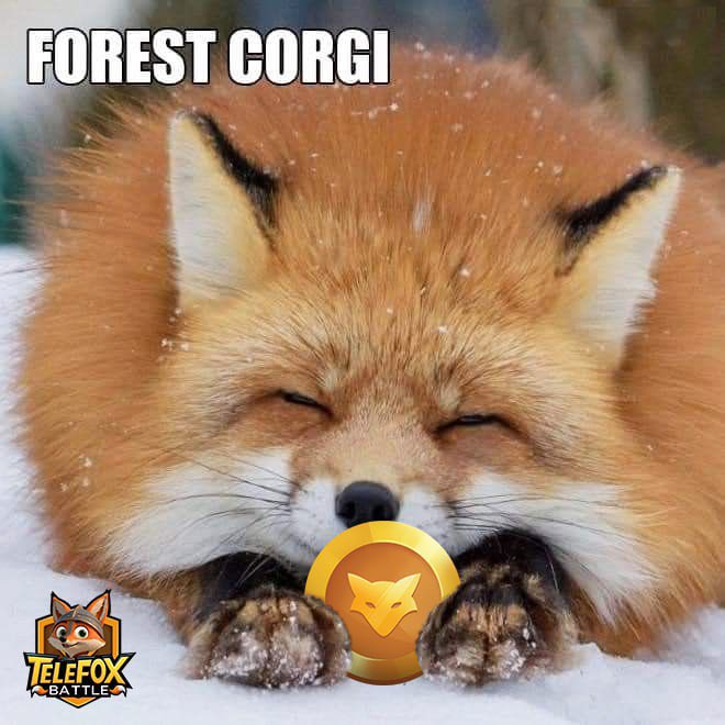 "Foxie’s winter survival tip: Collect coins, not snowflakes. 🦊❄️💸 #StayWarmStayFoxy"
#TeleFox #TeleFoxBattle

Play TeleFox Battle game: 🤖 t.me/Telefoxbattle_… 
———————————
