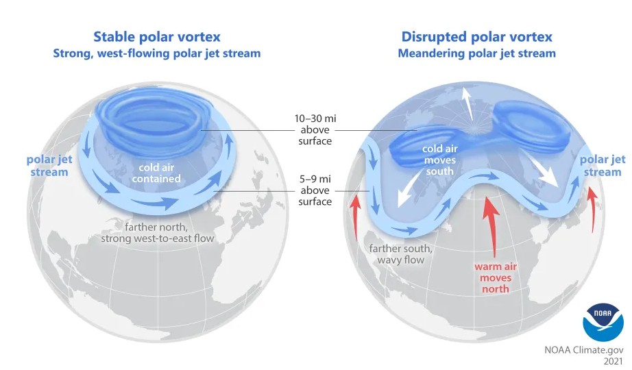 Weersverwachting in Groningen: zaterdag max temperatuur 3° C. Één dag later 12° C. Dit soort snelle temperatuurveranderingen komen van de polar vortex en zijn sterker door klimaatverandering sebsnjaesnews.rutgers.edu/2024/02/how-cl…
