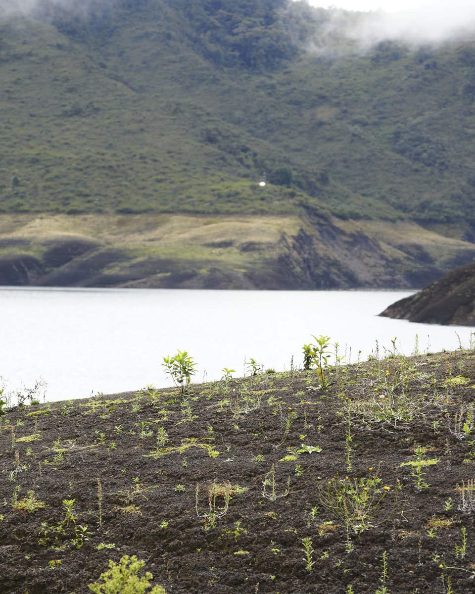 Acueducto de Bogotá tweet media