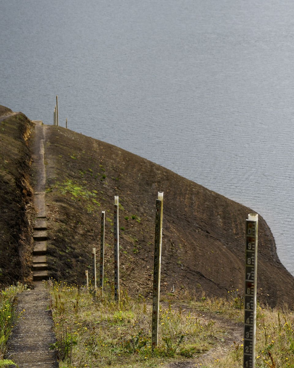 Acueducto de Bogotá tweet media