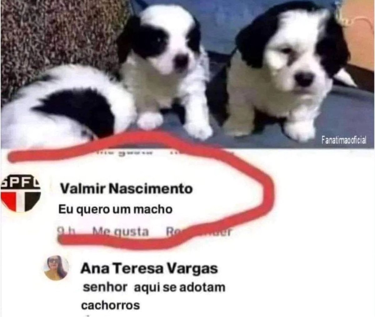 shitpostverdade's tweet image. 