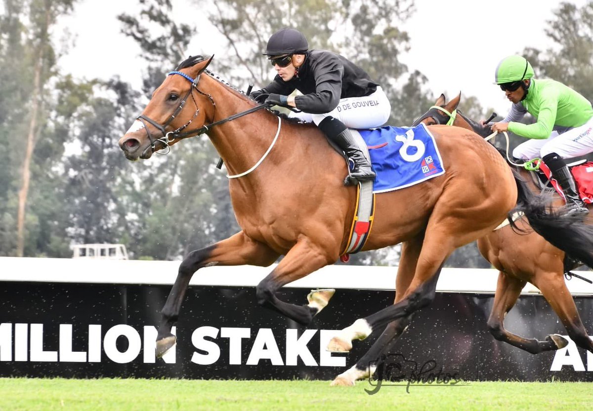 ‘Another Universe’ wins well today out at the Vaal🏇🏼 congratulations to his owners  Messrs C H J Higgs, S M Leahy &amp; Strini Naidoo🍾🙏 thank you trainer @adamazzie @azzie_racing_stables_ for the opportunity 🏇🏼

Thank you to my sponsors @ecosimplysolarptyltd 🙏