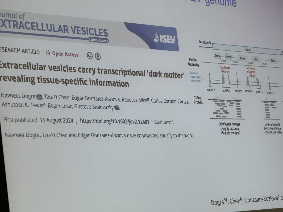 KennethWWitwer's tweet photo. It’s important to remember that EV #RNA is not just microRNAs or even from the annotated transcriptome. At #ISEVxTECH, @dogranavneet presents his work on these often-ignored sequences. Read more here: https://t.co/y4FYQYuDgW
@IsevOrg @ISEV_Journals #ExtracellularVesicles #ISEV https://t.co/xMbOvQkx5b