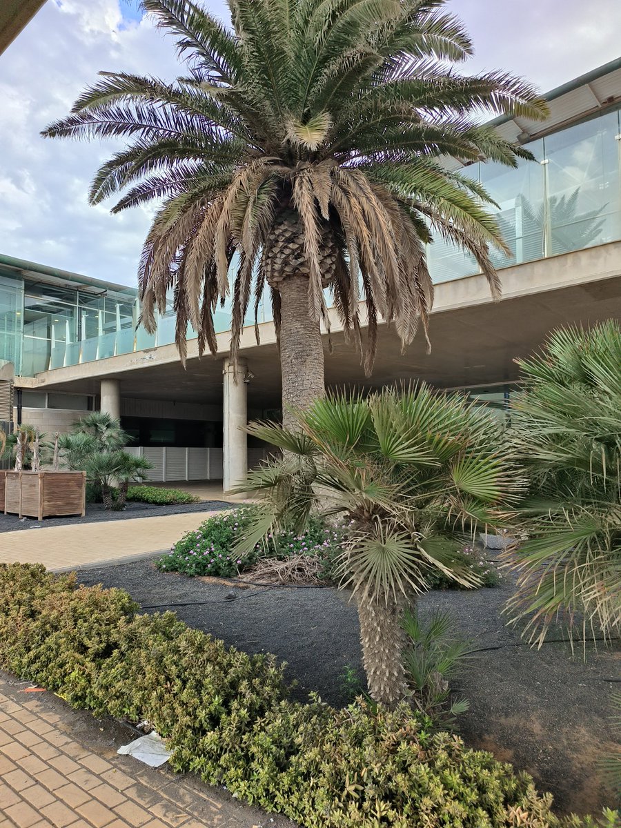 🄽🄴🄸🄻 🄼🄲🅁🄰🄴 tweet media