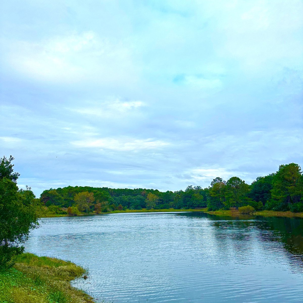 justinmark (@justinmarkty) on Twitter photo 