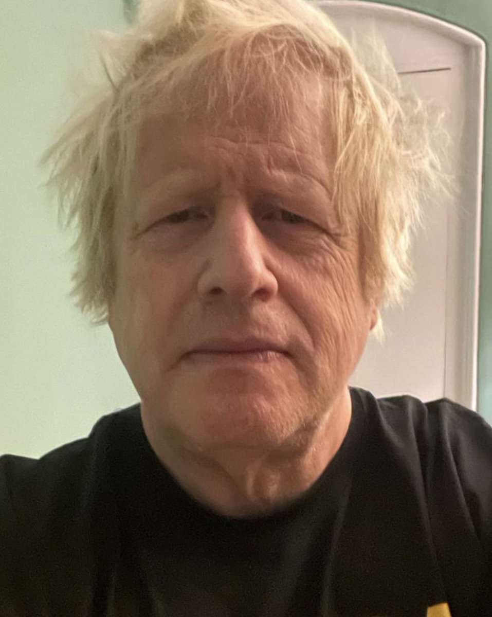 The Purple Pimpernel tweet media