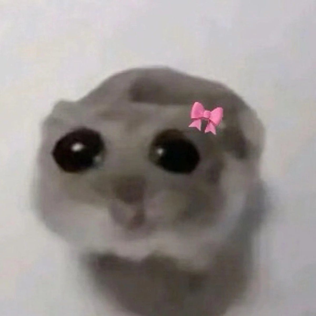 InblaskWithBlask tweet media