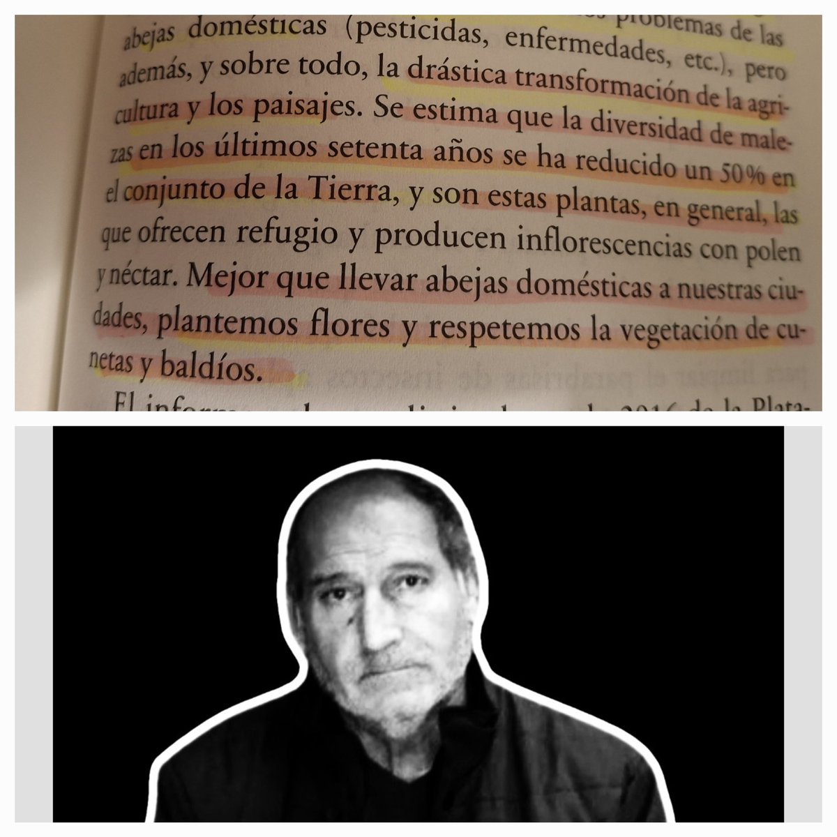 redutreraclima's tweet photo. Estupendo libro que debería de leer más de un responsable de #ParquesyJardines

●Plantemos flores y respetemos la VEGETACION de CUNETAS y BALDÍOS●

En estos momentos de trastornos climáticos  y que tanto necesitamos los árboles y la vegetación tenemos a un ignorante  al frente https://t.co/25w5BO1y3V