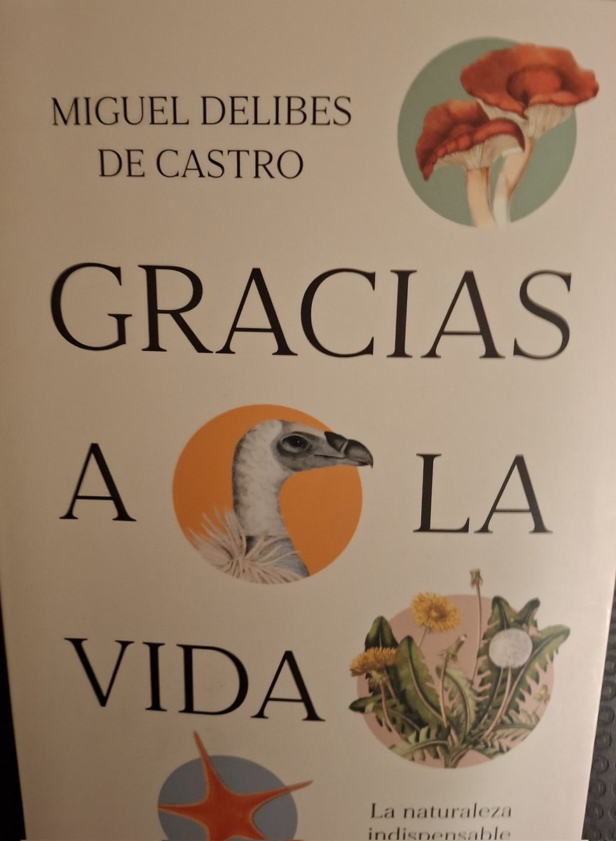 redutreraclima's tweet photo. Estupendo libro que debería de leer más de un responsable de #ParquesyJardines

●Plantemos flores y respetemos la VEGETACION de CUNETAS y BALDÍOS●

En estos momentos de trastornos climáticos  y que tanto necesitamos los árboles y la vegetación tenemos a un ignorante  al frente https://t.co/25w5BO1y3V