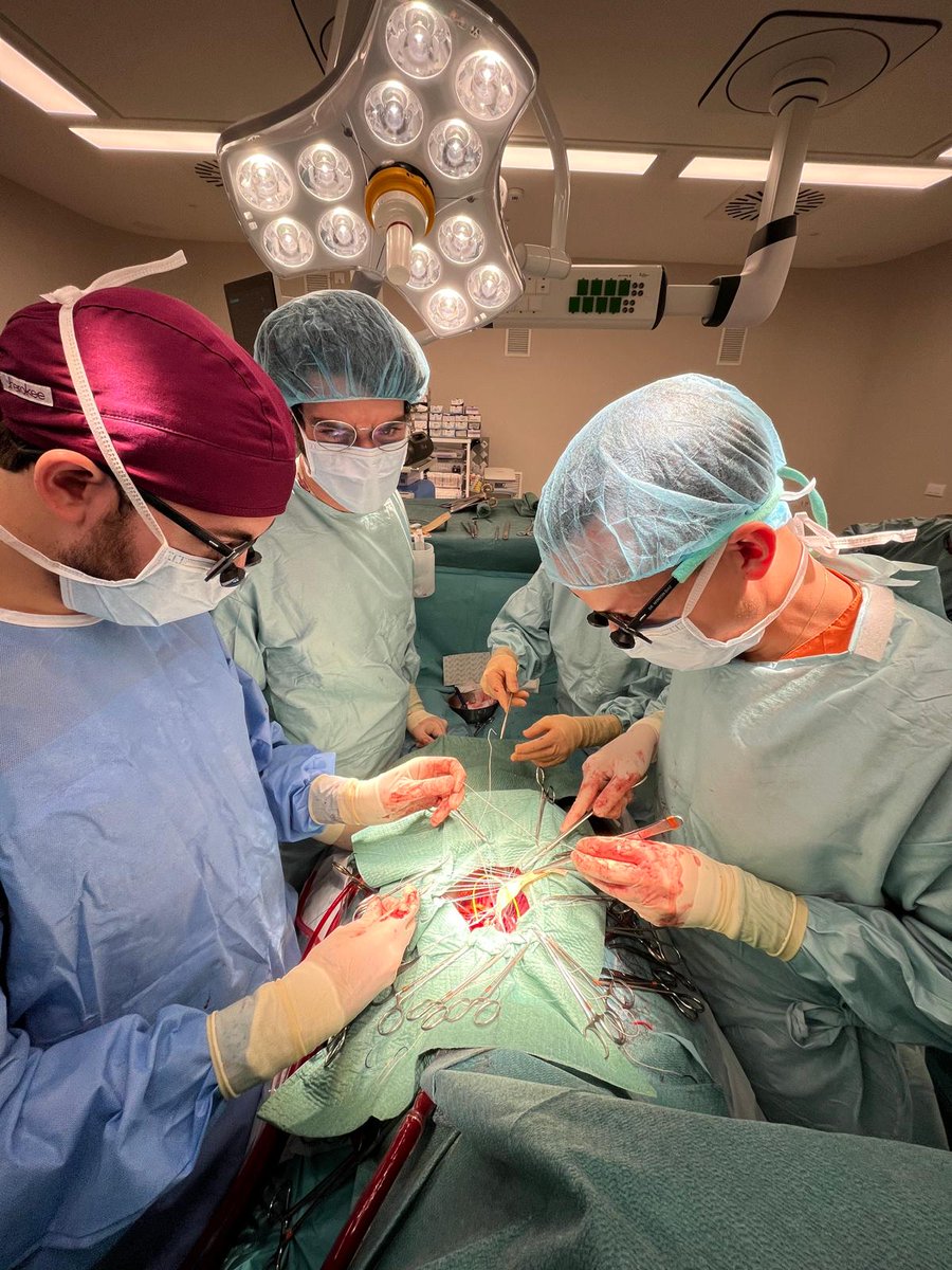 Cardiac Surgery Gregorio Marañon Hospital (@cardiacmaranon) on Twitter photo << Every stitch counts. Severe MAC. Direct transatrial TAVI with anterior reinforcement using a pericardial patch>>
<a href="/gregoriocuerpo/">Gregorio</a>
<a href="/Atgpinto/">Angel Gonzalez Pinto</a>
<a href="/apedrazprieto/">Alvaro Pedraz</a>
<a href="/DiegoMonzonDiaz/">Diego Monzón Díaz</a>
<a href="/sarasolisg/">Sara Solis</a>
<a href="/Laura5696/">Laura♥</a>
<a href="/AlvaroABudd/">Álvaro Álvarez</a>
<a href="/GonzaloLopezPe/">Gonzalo López-Peña</a>
<a href="/Carlos_Ortiz85/">Carlos Ortiz Bautista</a>
<a href="/ZorbaBlazquez/">Zorba Blázquez Bermejo</a>
<a href="/javiercastrodz/">Javier Castrodeza</a> << Every stitch counts. Severe MAC. Direct transatrial TAVI with anterior reinforcement using a pericardial patch>>
<a href="/gregoriocuerpo/">Gregorio</a>
<a href="/Atgpinto/">Angel Gonzalez Pinto</a>
<a href="/apedrazprieto/">Alvaro Pedraz</a>
<a href="/DiegoMonzonDiaz/">Diego Monzón Díaz</a>
<a href="/sarasolisg/">Sara Solis</a>
<a href="/Laura5696/">Laura♥</a>
<a href="/AlvaroABudd/">Álvaro Álvarez</a>
<a href="/GonzaloLopezPe/">Gonzalo López-Peña</a>
<a href="/Carlos_Ortiz85/">Carlos Ortiz Bautista</a>
<a href="/ZorbaBlazquez/">Zorba Blázquez Bermejo</a>
<a href="/javiercastrodz/">Javier Castrodeza</a>