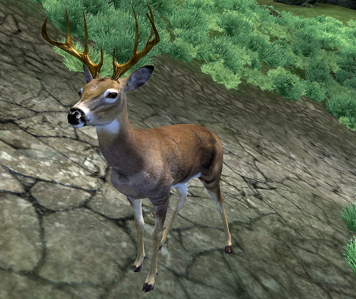 👑King Hirsch🦌 tweet media