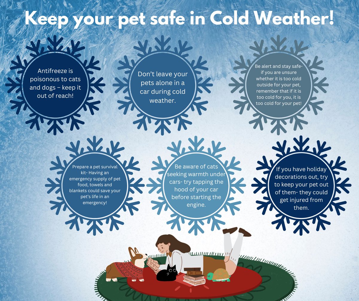 Keep your pets safe in cold weather! 
With the weather cooling down today, it is important to remember to keep your four-legged friends in mind- here are some steps that you can take to help ensure their health and safety.