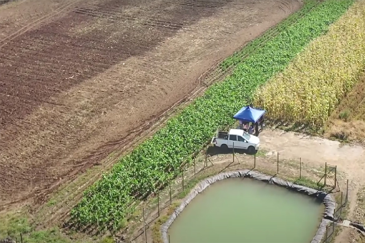 ¿Desafío pendiente de la #agricultura en la Región de #Valparaíso?: Los #gases de efecto #invernadero ♻️prensaagricola.cl/desafio-pendie…