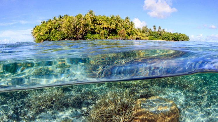 #ClimateChange and #biodiversity loss are two of the biggest challenges of our time, with profound consequences for our world. This briefing highlights how they are linked and sets out key actions and principles that addresses both crises together: #COP29 royalsociety.org/news-resources…