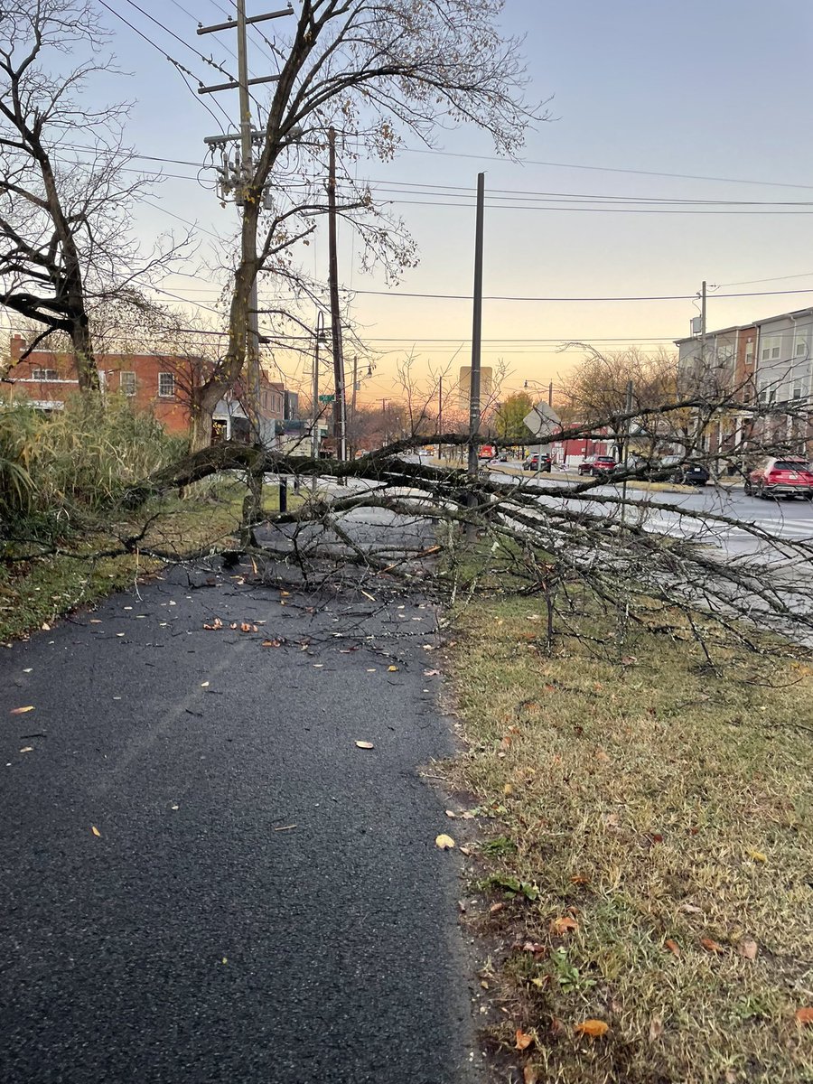 Kimberly Martin tweet media