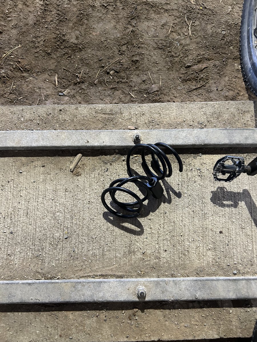 Dr. Robyn Doucet tweet media