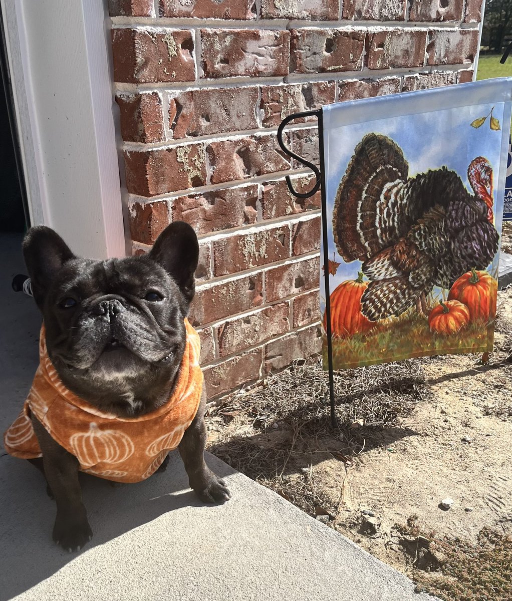 One week until 🦃day! Our Black Friday Sale starts NOW. Everything in the store is 20% off. 

thefabfrenchieco.etsy.com