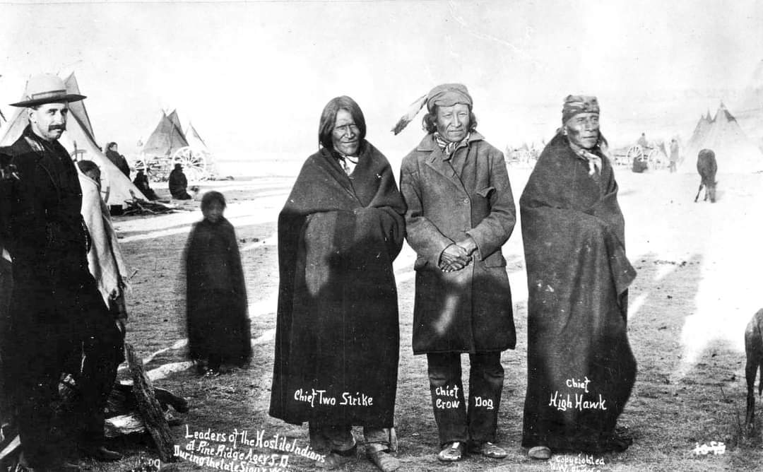 Native American Power🇺🇲 tweet media