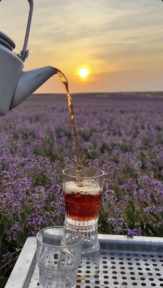 يعدّل مزاجي كل ماخربوه الناس
أنا وين أبلقى واحدٍ كنه الشاهي ✨