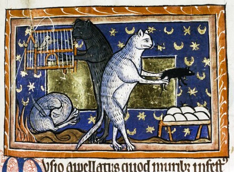 And a shout out to all the digital collections out there, including my favourite cat digital.bodleian.ox.ac.uk/objects/ecf968…