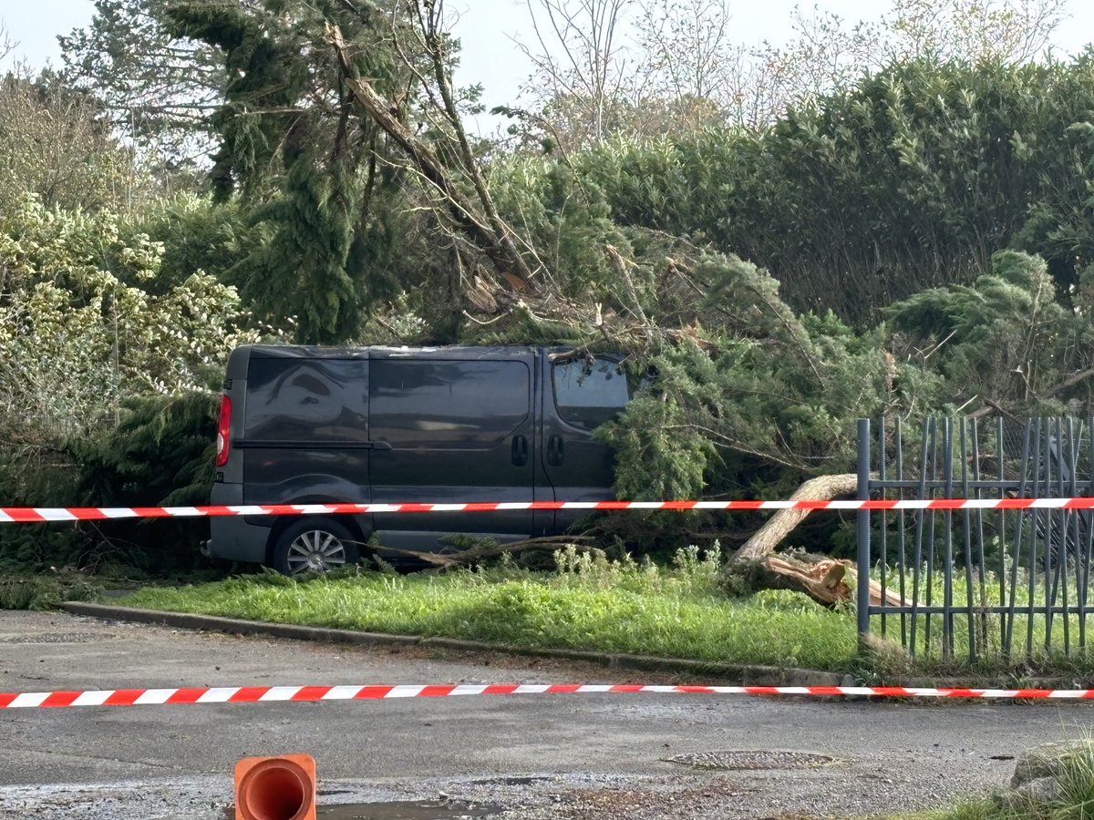 Nicolashesse's tweet photo. Un arbre tombe sur une camionnette au Pouliguen. Pas de blessé. #tempetecaetano #lepouliguen https://t.co/bilenb1gL5