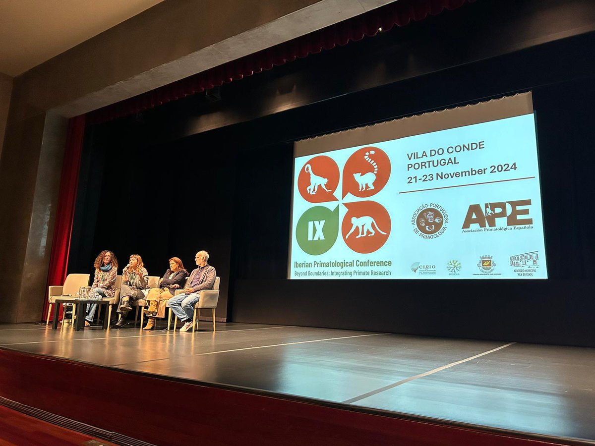 APP - Portuguese Primatological Association (@app_portuguese) on Twitter photo The IXth edition of the Iberian Primatological Conference has officially started!
#IXIPC <a href="/APEspain/">APE</a> <a href="/CIBIO_InBIO/">BIOPOLIS-CIBIO</a> <a href="/cm_viladoconde/">CM Vila do Conde</a> The IXth edition of the Iberian Primatological Conference has officially started!
#IXIPC <a href="/APEspain/">APE</a> <a href="/CIBIO_InBIO/">BIOPOLIS-CIBIO</a> <a href="/cm_viladoconde/">CM Vila do Conde</a>