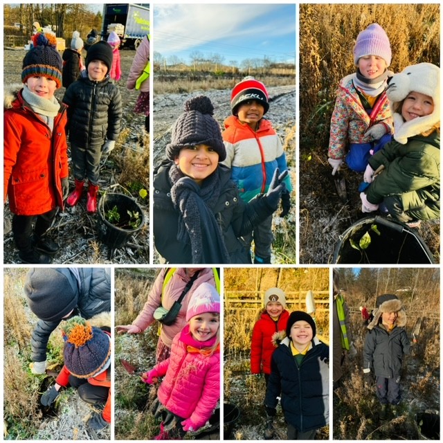 wlstnicholasps1's tweet image. Primary 2 had a fabulous time planting trees with the Woodland Trust this morning. #outdoorlearningstnics #sciencestnics #laudatosistnics