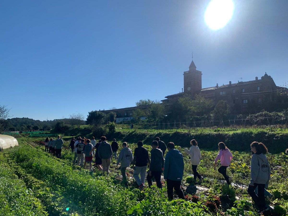 plafarreras's tweet photo. La setmana passada vam celebrar la XX Setmana de la Ciència, enguany al voltant d'una efemèride de la ciutat de Sant Cugat, el 250è aniversari del Pi d'en Xandri! 
Hem intentat apropar els boscos al Plafa, per recordar la seva importància vital: sense boscos, no hi ha vida. https://t.co/7J02ZzTaXx