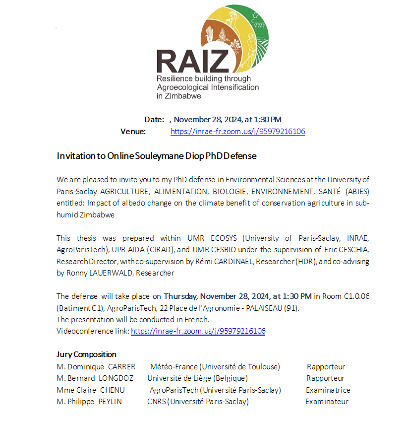 RAIZ tweet media