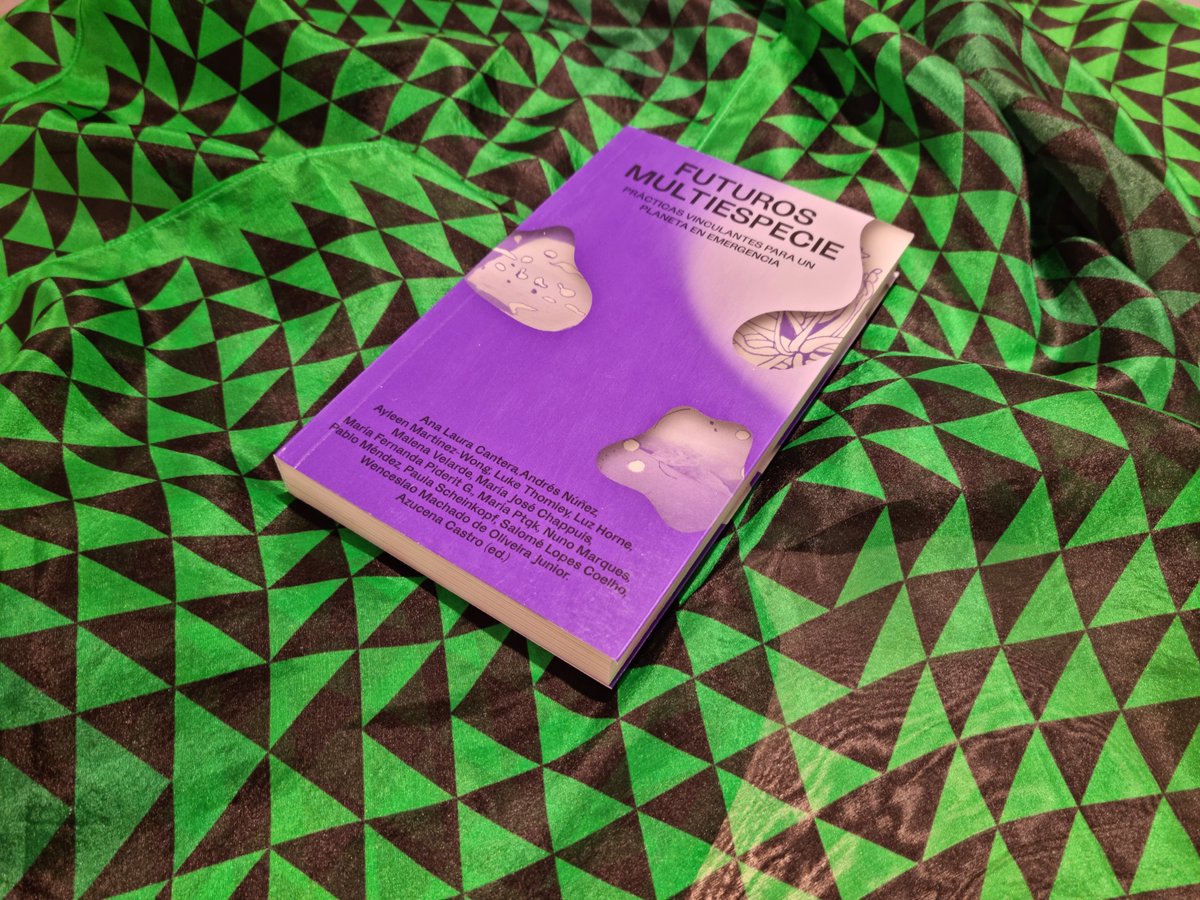 Laie CCCB tweet media