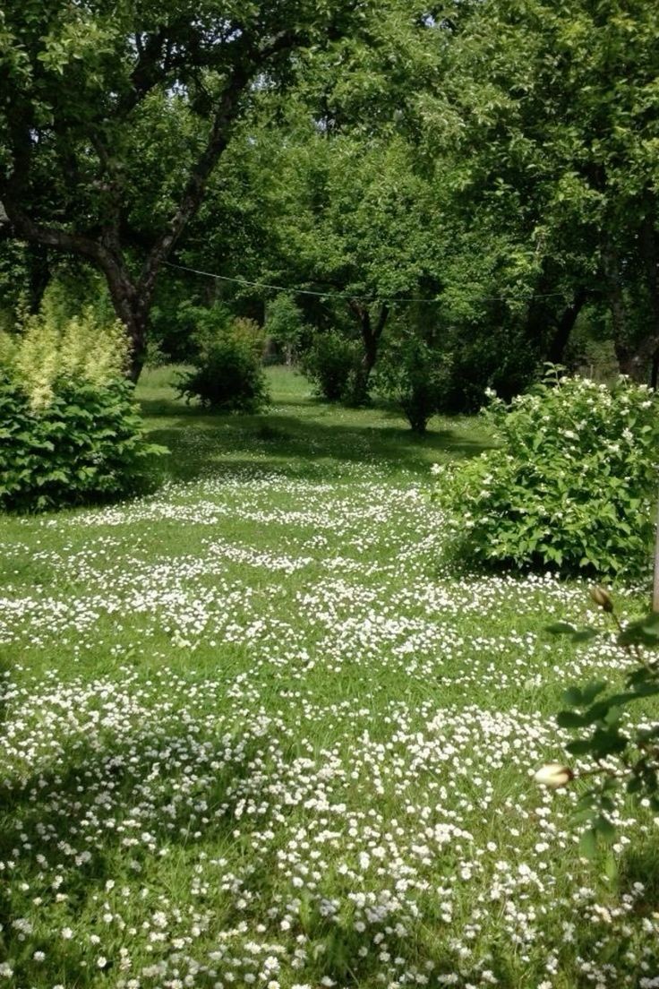 peacozy's tweet image. 