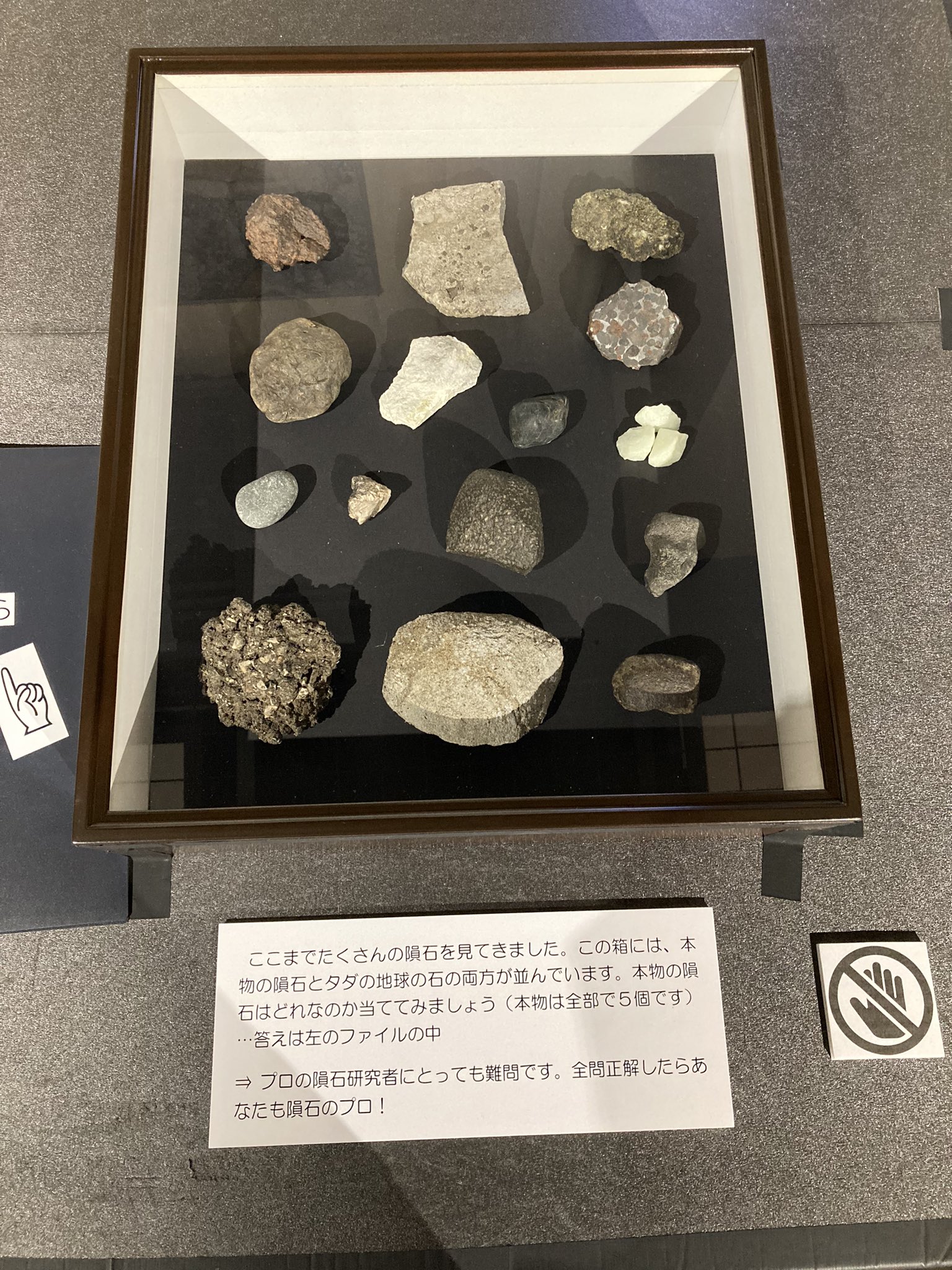 彗星のカケラ！Tagish Lake 隕石 標本 彗星のカケラ！Tagish Lake 隕石 標本 火星から来た隕石と「生命