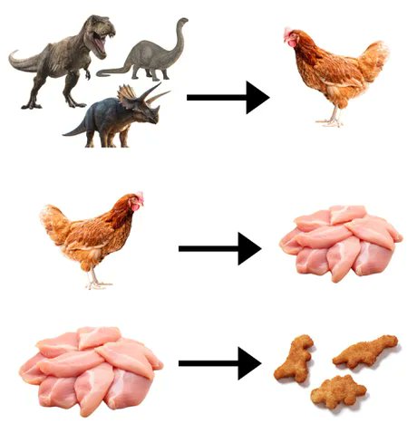 The Circle of Life.