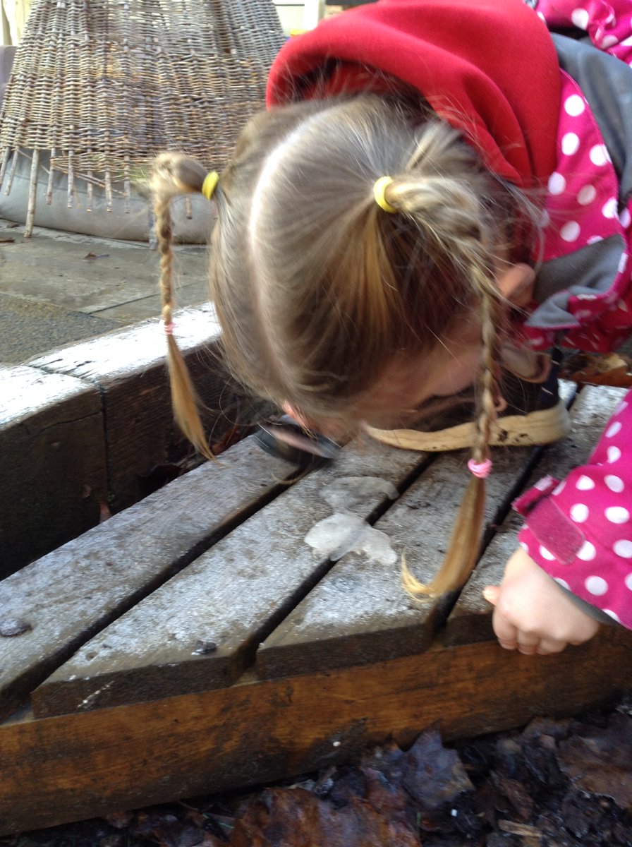 Not forgetting the ice the next morning... EYFS were straight out there with their magnifying glasses, looking at the delicate frost patterns and cracking the ice. "It's frozen solid!" "My hands are melting it because they're warm." "The frost pattern is like tiny feathers." ❄️