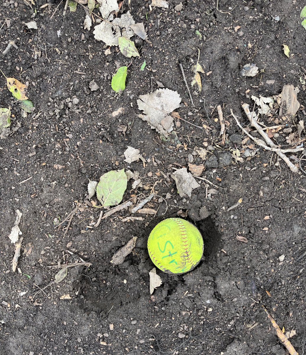 <a href="/villapark_il/">Village of Villa Park</a> It’s a softball graveyard 🪦on the east side of the park! We can’t wait to see what you do with Field 2!