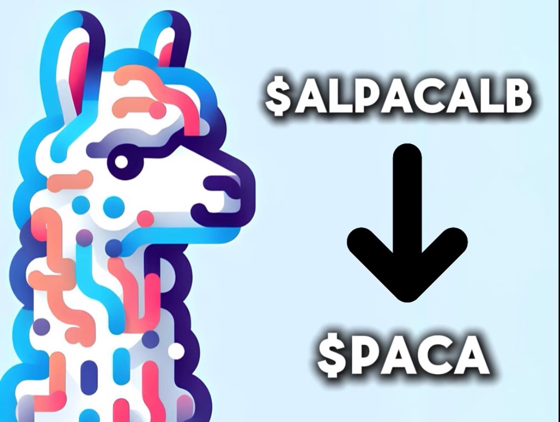 Paca tweet media