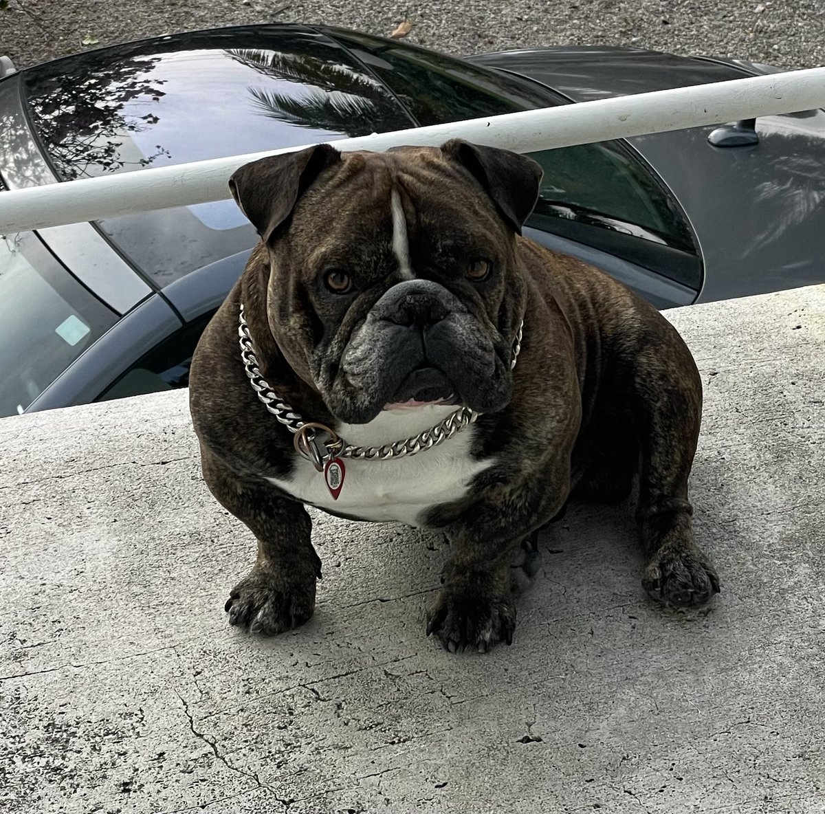 Rosemarie Lane 🇺🇸🏴‍☠️🏝🎣🐶 tweet media