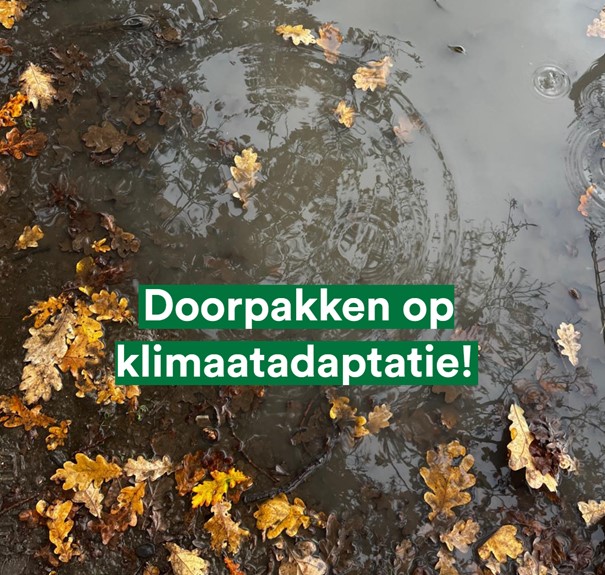 Partij voor de Dieren Almere tweet media