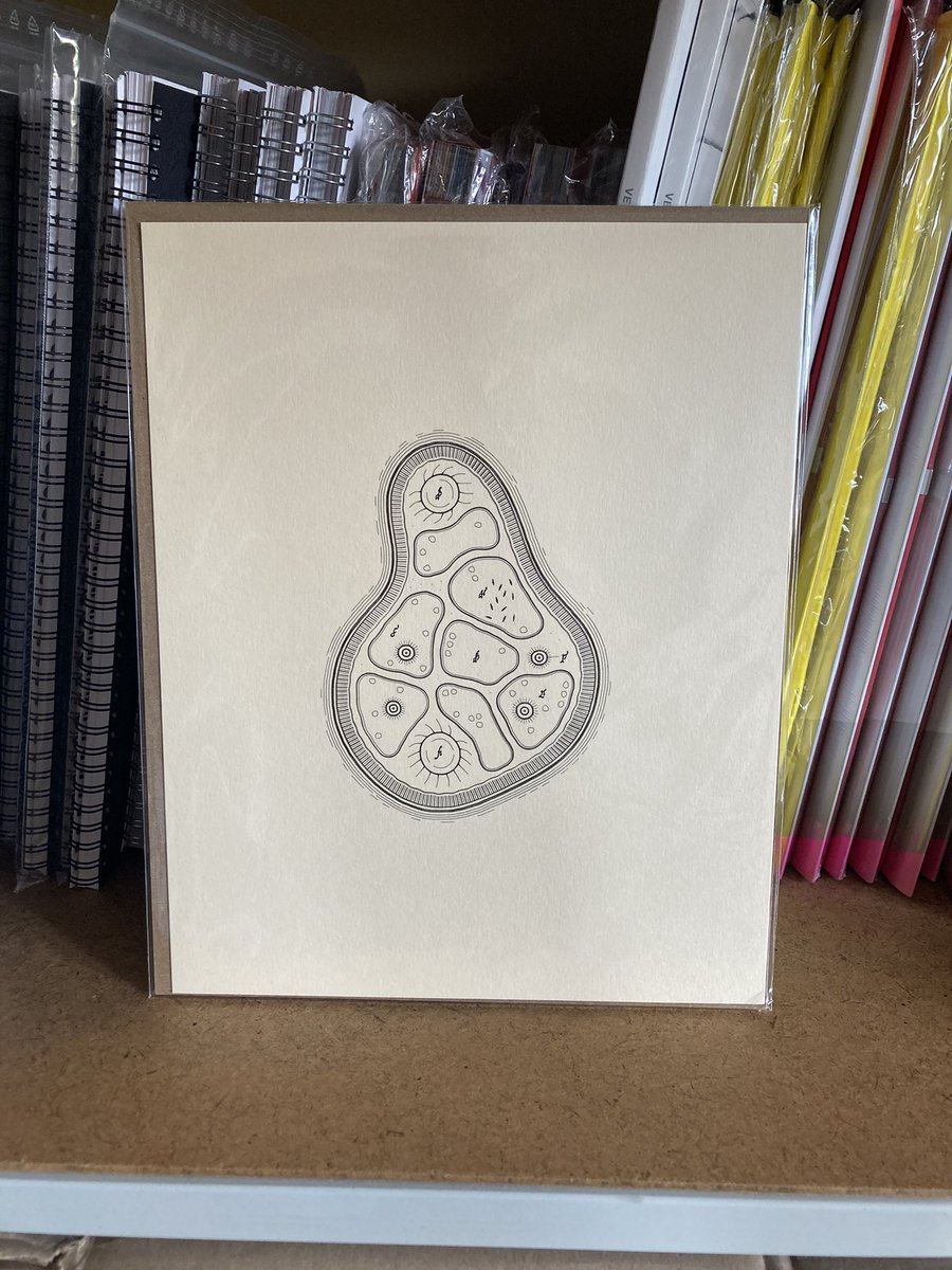 serendipityarty's tweet image. Special delivery today:
@golan Golan Levin, Cytographia #165
Plotter drawing (with corresponding Artblocks NFT)