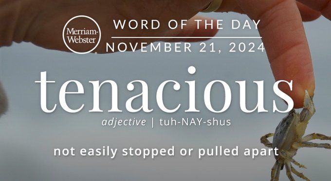 Merriam-Webster Word of the Day November 21, 2024 'tenacious' adjective | tuh-NAY-shus "not easily stopped or pulled apart" Background Image: A finger trying to stop a crab