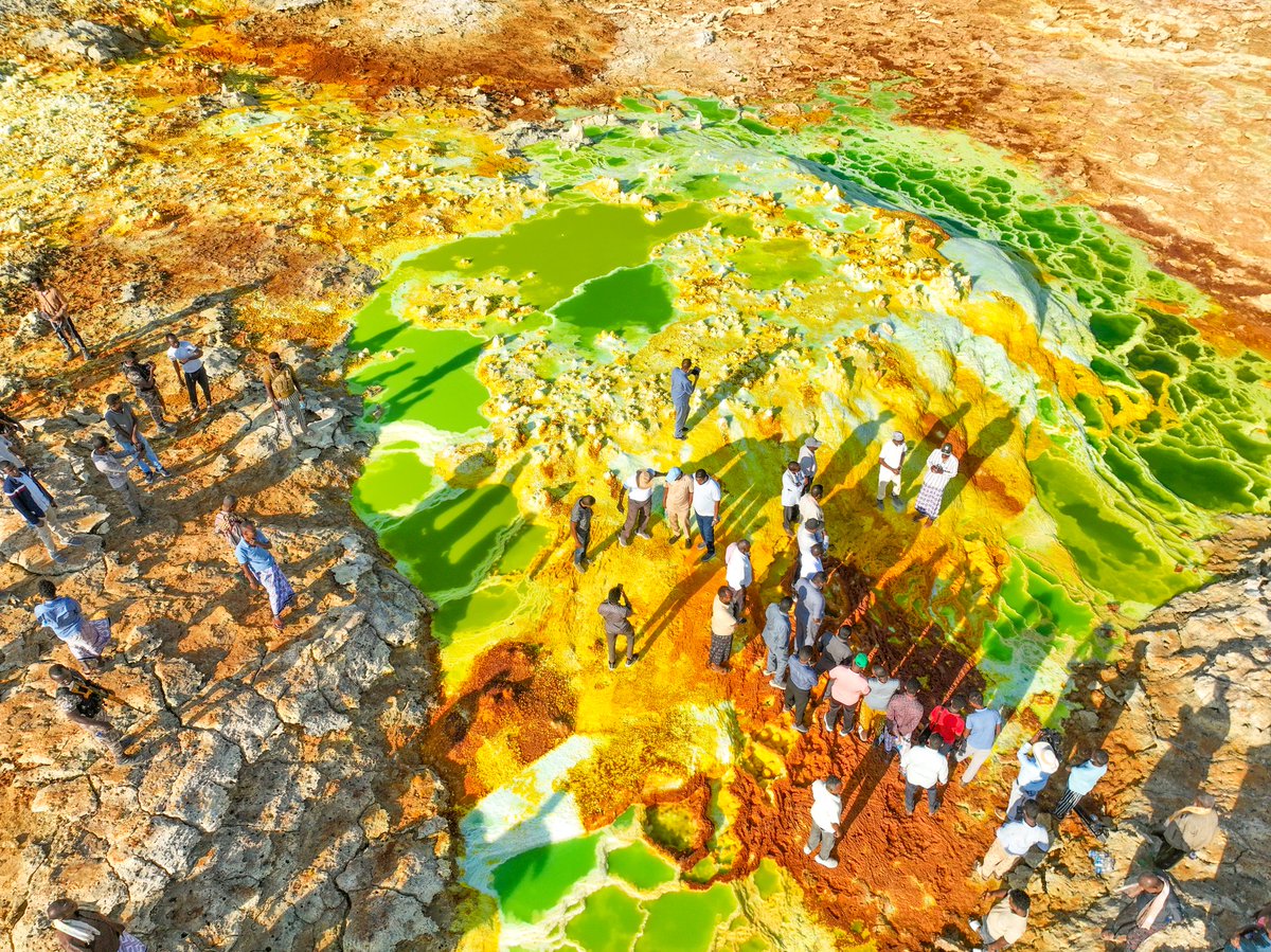 Awel Arba tweet media