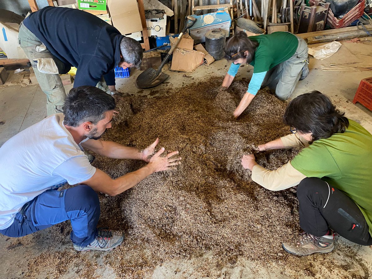 La Neus i la Gemma de L’Era van fer un taller a @ferrersustainability sobre biofertilitzants per millorar les 3M’s del sòl: Minerals, Matèria Orgànica i Microbiologia. 🌱👩‍🌾 Fes-te soci/a de L’Era i ajuda'ns a impulsar una agricultura més sostenible! 💚 #Biofertilitzants #LERA