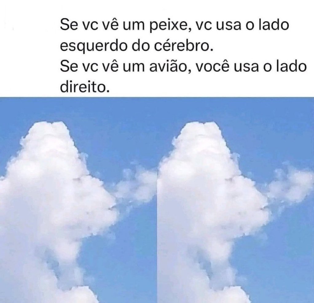 cessiem's tweet image. Eu acho que usamos o cérebro todo 😁