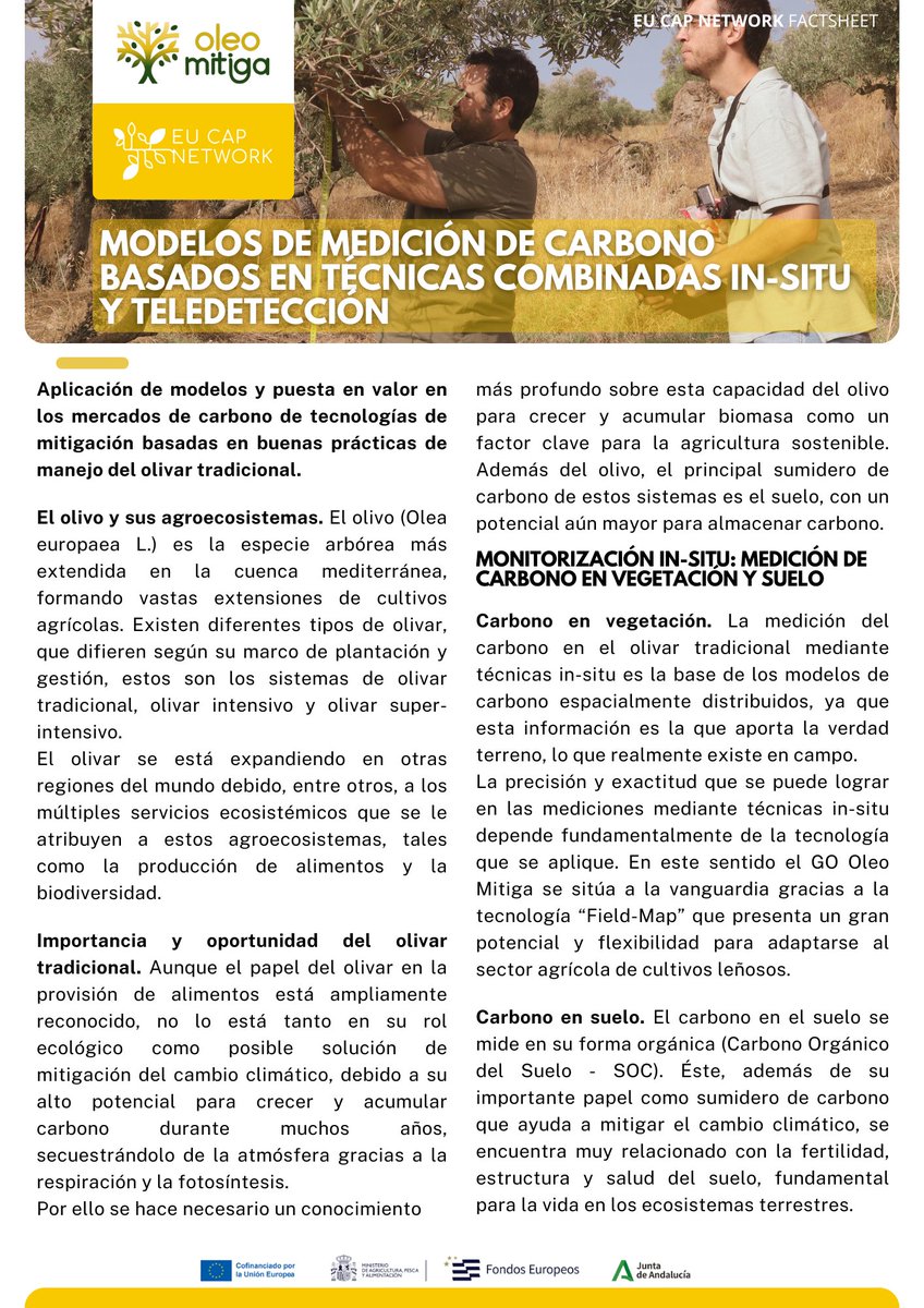 Oleo_mitiga's tweet image. 🌿 📝 Nuevo #FactSheet disponible: Modelos de #Medición de #Carbono basados en técnicas combinadas In-Situ y #Teledetección 🌿
Conoce cómo los modelos de medición de carbono basados en técnicas innovadoras ponen en valor el #OlivarTradicional. (+)
