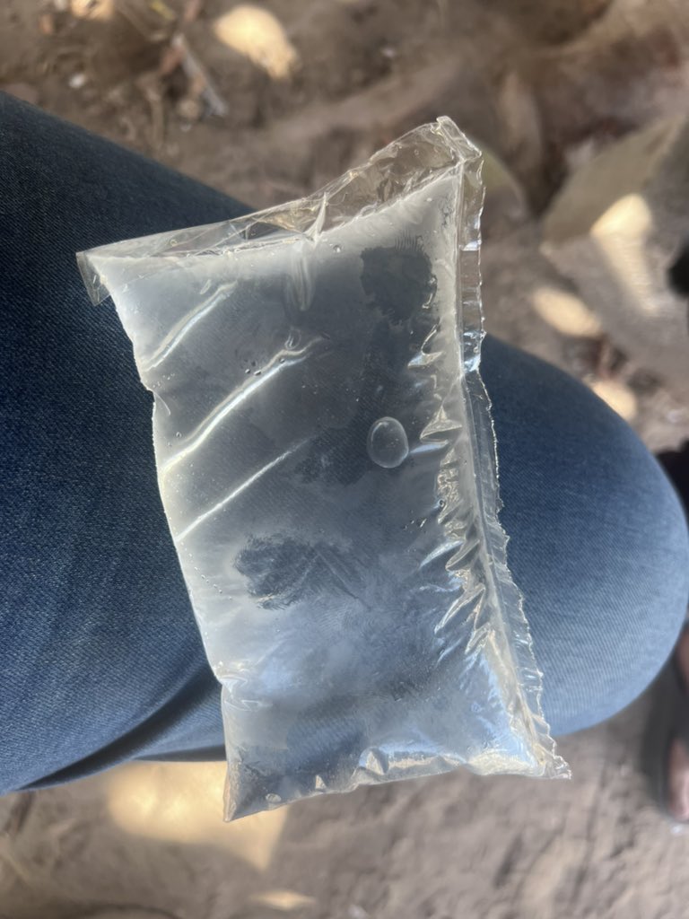 Motasem A Dalloul tweet media