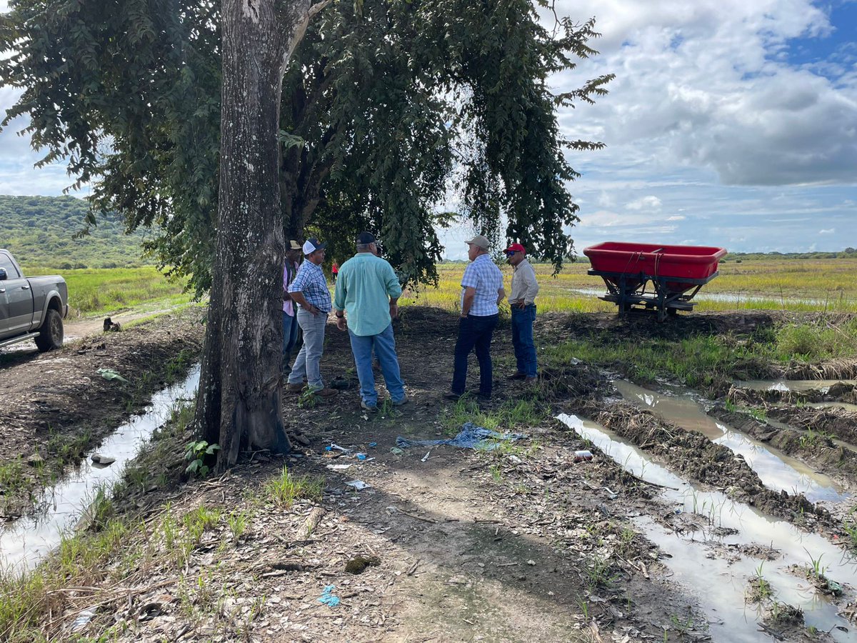 MIDAPma's tweet photo. Evaluaciones sobre afectaciones en el agro continuaron en Coclé

https://t.co/qc8IppUon3 https://t.co/N4hZugVAer