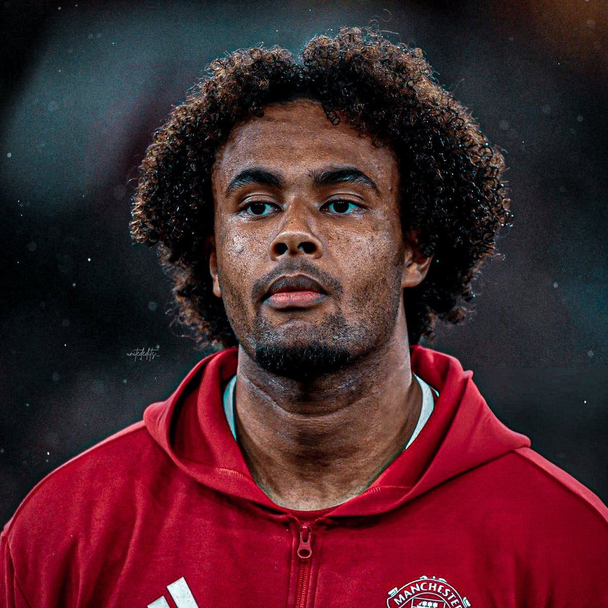 Jurstperfect's tweet photo. Joshua Zirkzee starts for every club in the world. https://t.co/7EStMCx6Tp