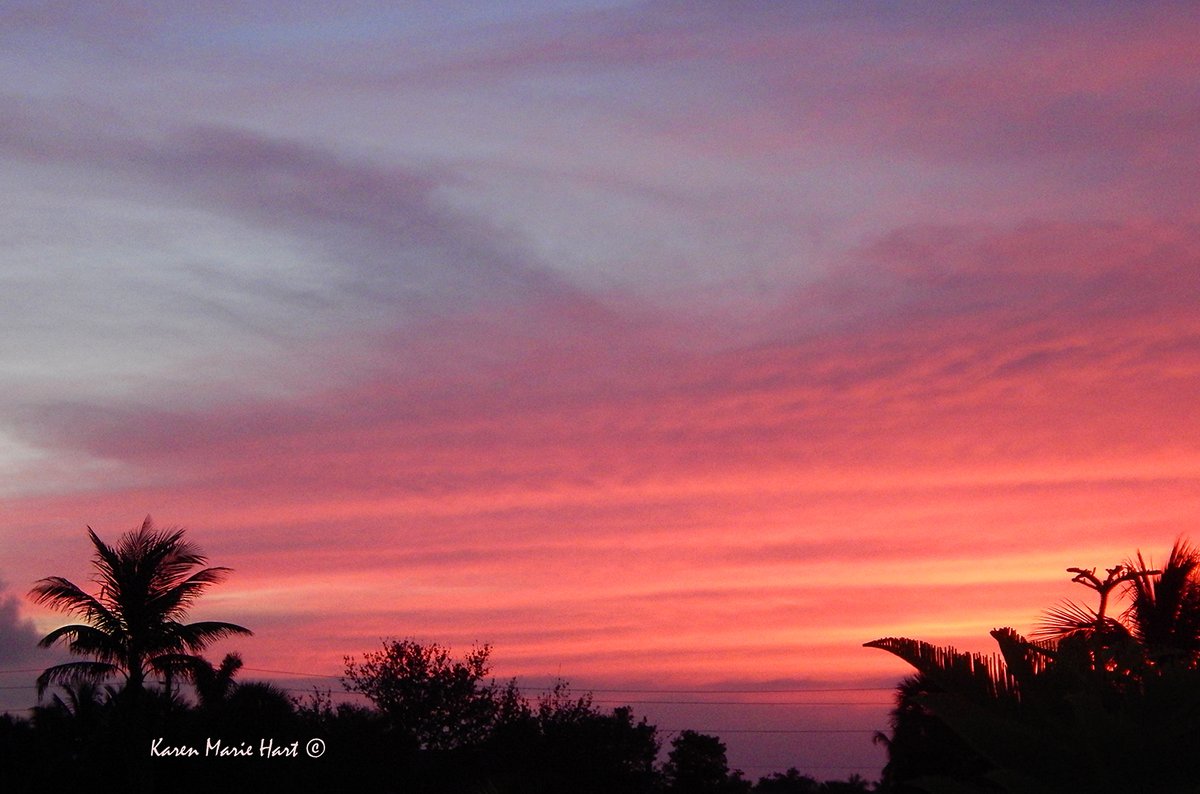 KarenMarieHart's tweet image. Once upon a warm sunset, two lovers walked upon the beach. They paused to watch the sky fill with color, and then one said, "Marry me?" With a kiss, the other replied, "Yes." 🧜‍♀️💞🕊️ #LoveYouForever #Soulmate 💋 #Lovestory